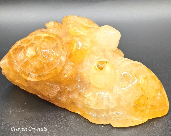 Hepatoid Golden Healer Crystal Turtle Trio