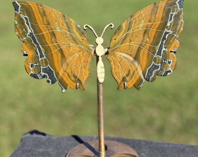 Yellow Orbicular Ocean Jasper Crystal Butterfly Wings