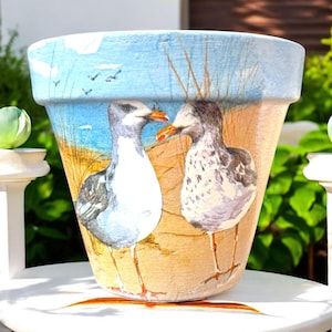 Seagull Plant Pot: Italian Terracotta Coastal Planter