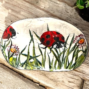 May include: A painted rock featuring two red ladybirds and green grass on a white background.
