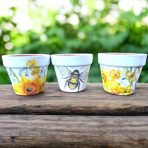 Trio of Plant Pots, Terracotta Planters, Daffodil and Bee Flower Holders, Herb Planter