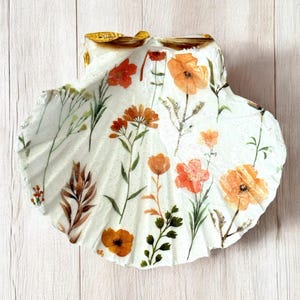 May include: A decorative seashell featuring a white base, decorated with orange and brown floral patterns. The shell has a scalloped edge, and the flowers are arranged across the surface.