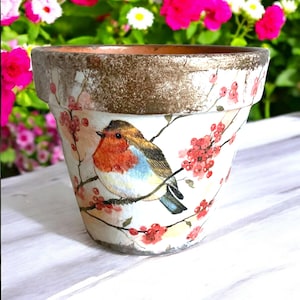 Robin Plant Pot, Plant Pot, Terracotta Pot, Outdoor Plant Pots, Robin Gifts, Robin Decor, Plant Pot with Drainage Hole, Gift for Mum, Gifts