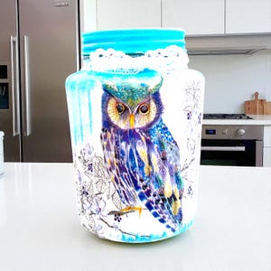 Tea Coffee Sugar Cannisters, Owl Cannisters, Owl Decor, Owl Gifts, New Home Gift, Pretty Kitchenware, Gift for Mum, Unique Cannisters, Gifts