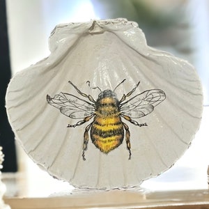 May include: A white ceramic seashell with a painted image of a bee with yellow and black stripes and translucent wings.