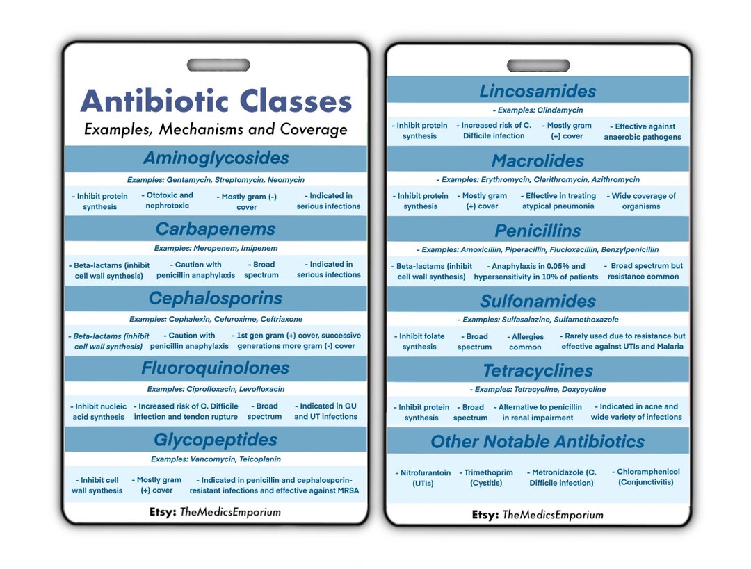 Antibiotic Classes Medical Reference Cards Flashcards for Etsy UK