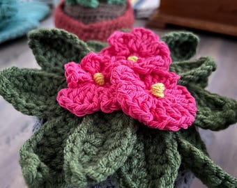 Crocheted African Violet: Handmade Cotton Amigurumi Plant - US Tariff Free
