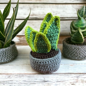 Crocheted Snake Plant: Handmade Potted Amigurumi Houseplant