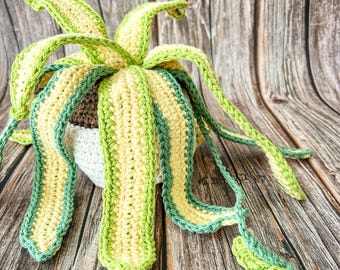 Crochet Spider Plant: Handmade, Artificial House Plant, Amigurumi - US Tariff Free