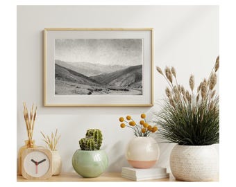 Arte mural vintage del Valle de la Muerte. Fotografía en blanco y negro, fotografía cinematográfica, impresión digital, arte mural, impresión de bellas artes para diseño de interiores.