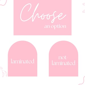 May include: Pink graphic with the text "Choose an option" and two pink arched shapes with the text "laminated" and "not laminated" in white.