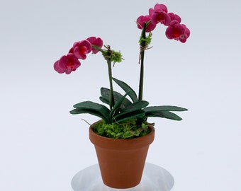 Fuchsia Phalaenopsis Orchid (Two Spikes) – 1:12 Scale Dollhouse Miniature