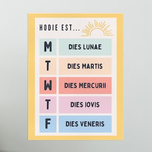 Days of the Week Classroom Poster for Latin Teachers- Digital download