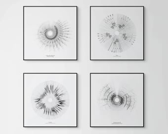 Custom Sound Wave Art – Bird Song Visualization Print (Watercolor Paper)