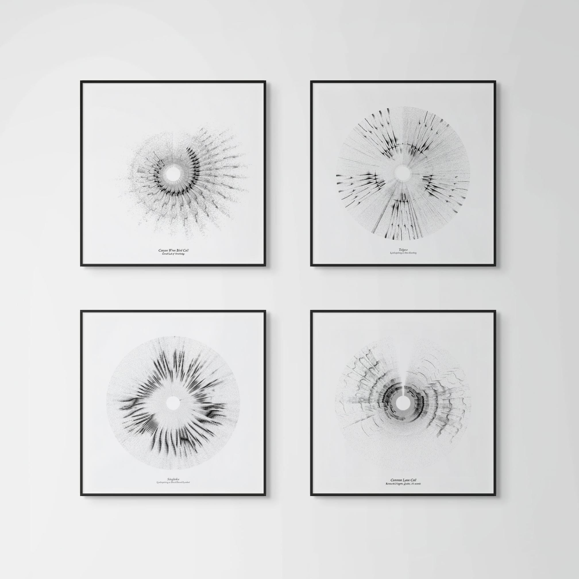 Custom Sound Wave Art – Bird Song Visualization Print (watercolor