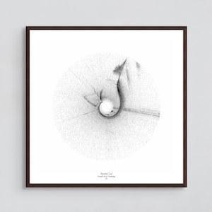May include: Black and white abstract art print with a spiral design. The print is framed in a brown frame and has the text "Bearded Seal, Carroll Lake of Oceanography, 2015" at the bottom.
