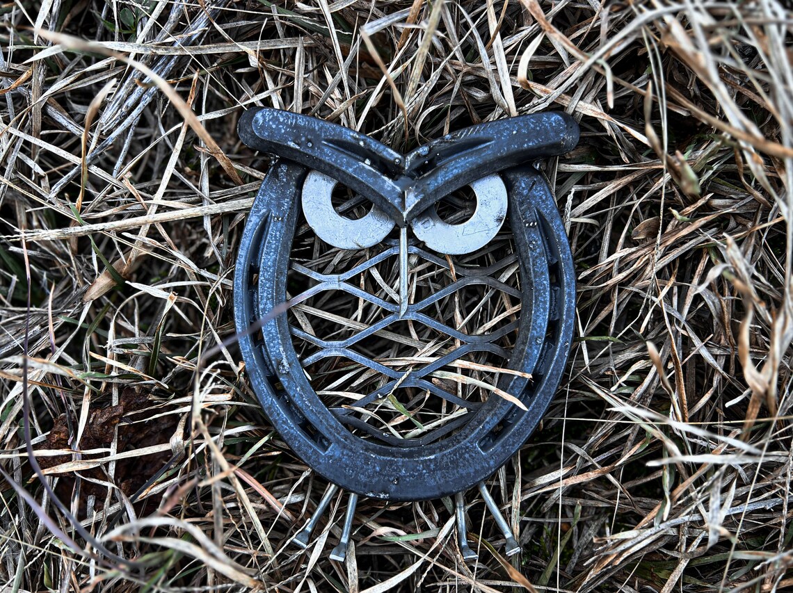 Horseshoe Owl raw or Painted Etsy