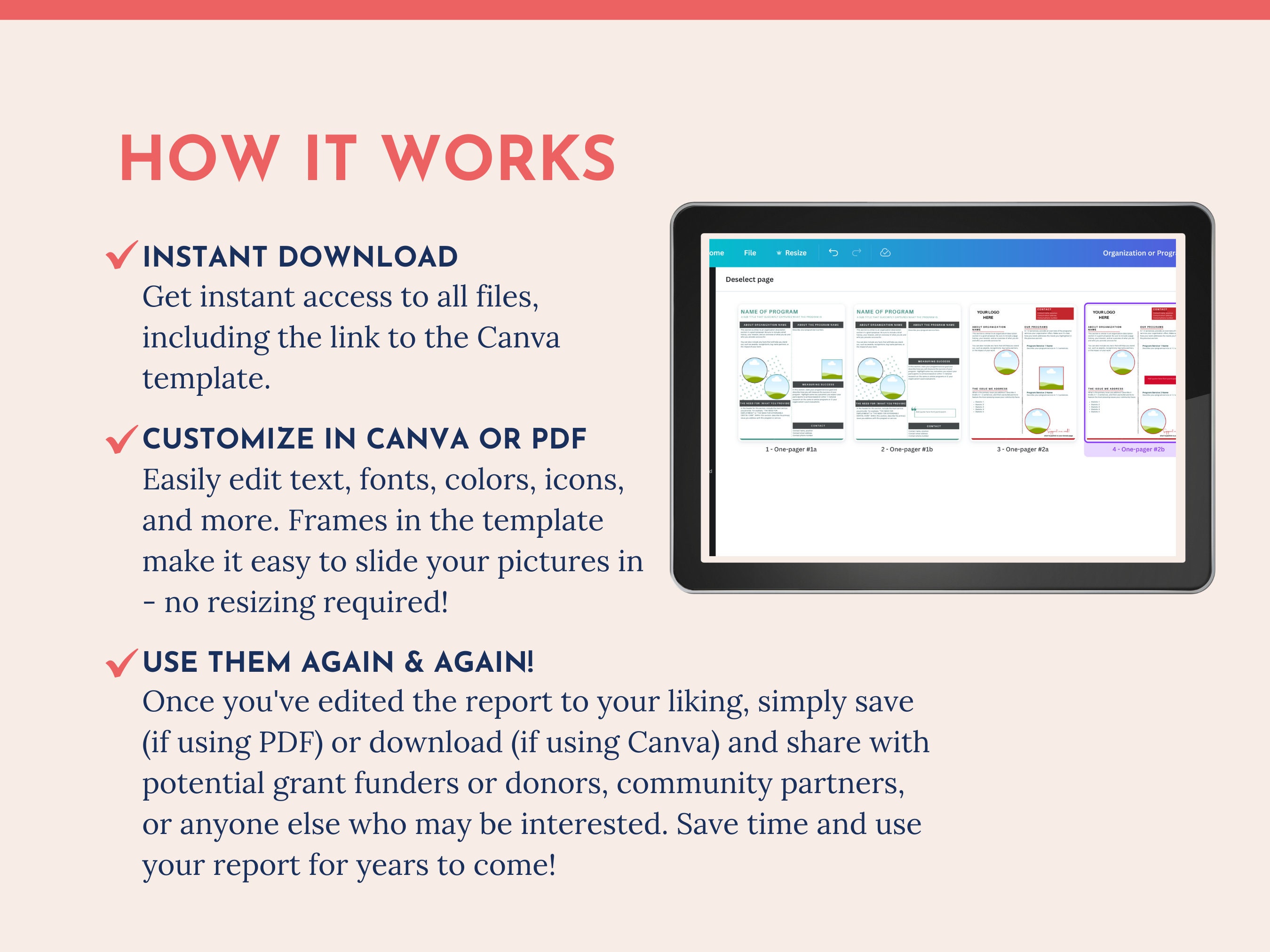 One Page Program Hand Out Examples One-page Overview for Nonprofits | Program Handout | Organization ...