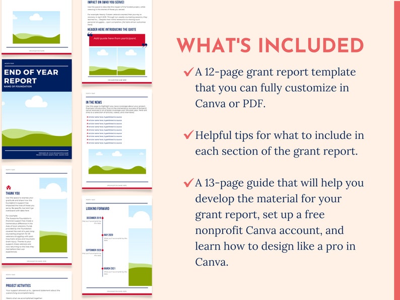 Grantee Activity Report Example Grant Report Template for Nonprofits - Etsy