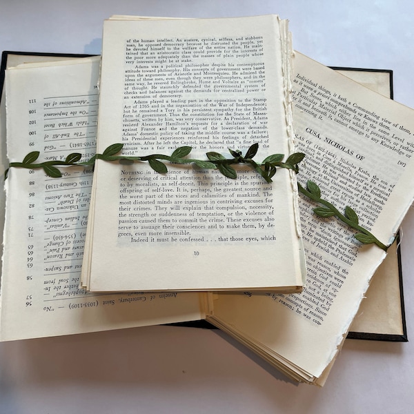 Vintage Book Pages Bundle