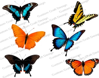 May include: A collection of six colorful butterflies with various wing patterns. The butterflies feature shades of blue, orange, yellow, and black. The image is set against a white background.
