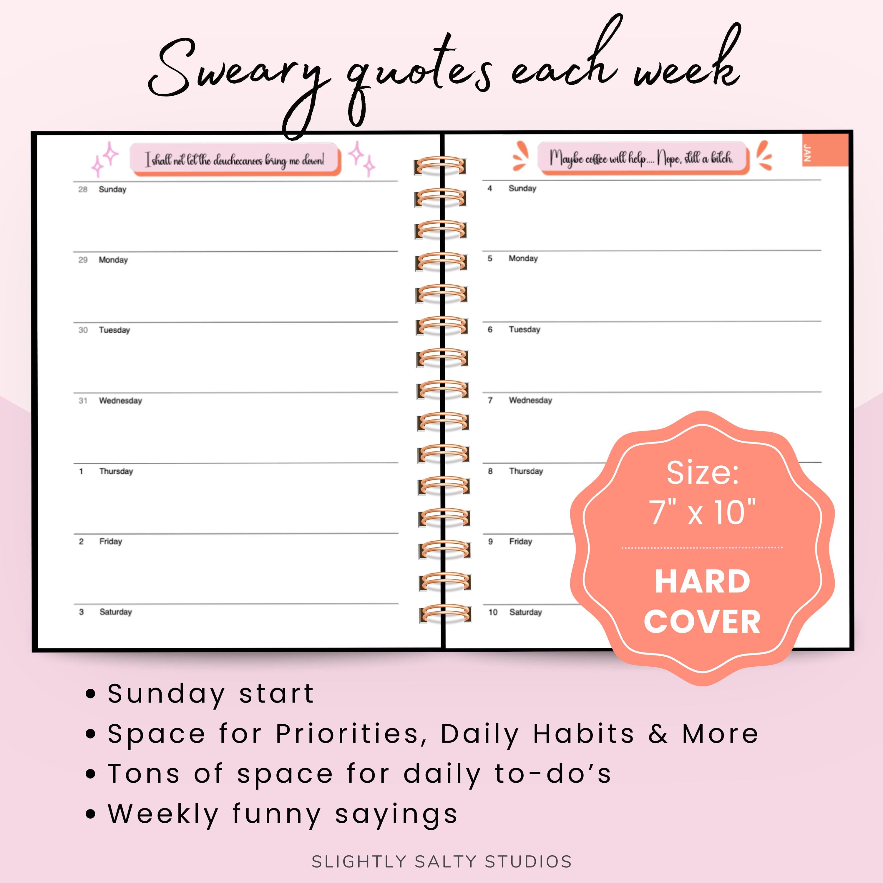 2026 Fuck It Funny Daily and Monthly Planner Stocking Stuffer Gag Gift ...