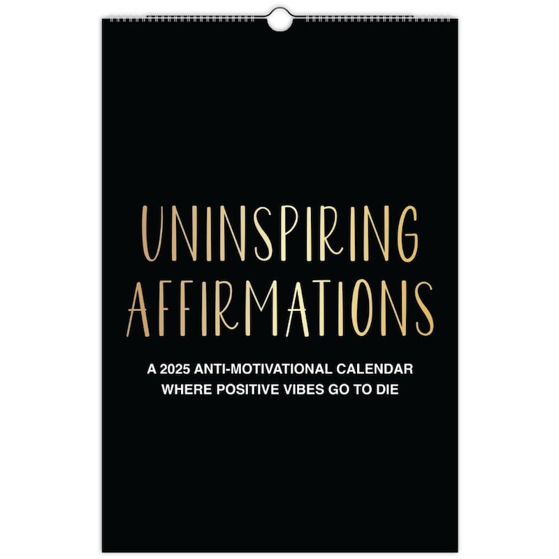 2025 Meme Calendar - Etsy