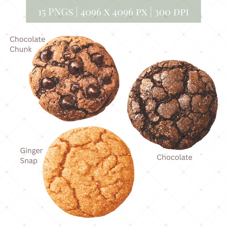 May include: Three cookies: a chocolate chunk cookie with dark chocolate chips, a dark chocolate cookie, and a golden ginger snap cookie. Text on the image reads "Chocolate Chunk", "Ginger Snap", and "Chocolate". The image also includes the text "15 PNGS | 4096 X 4096 PX | 300 DPI".
