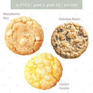 May include: An image showcasing three different cookies: a macadamia nut cookie, an oatmeal raisin cookie, and a lemon cookie. The macadamia nut cookie is light brown with visible macadamia nuts. The oatmeal raisin cookie is speckled with raisins. The lemon cookie is yellow.