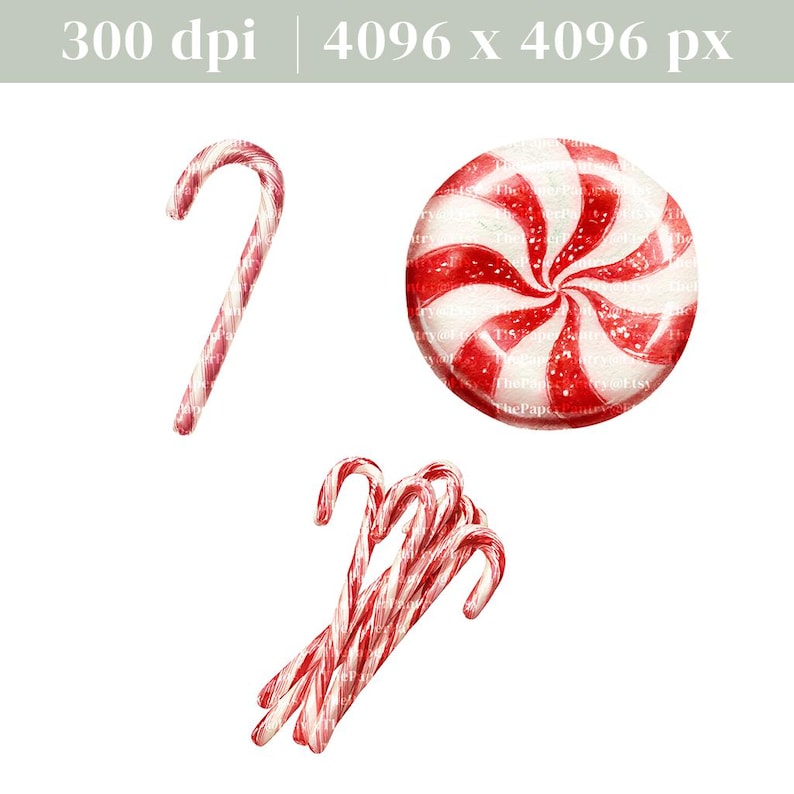 May include: A watercolour illustration of Christmas sweets. The image shows a single candy cane, a large red and white swirled lollipop, and a bundle of candy canes. The sweets have a classic red and white striped design.