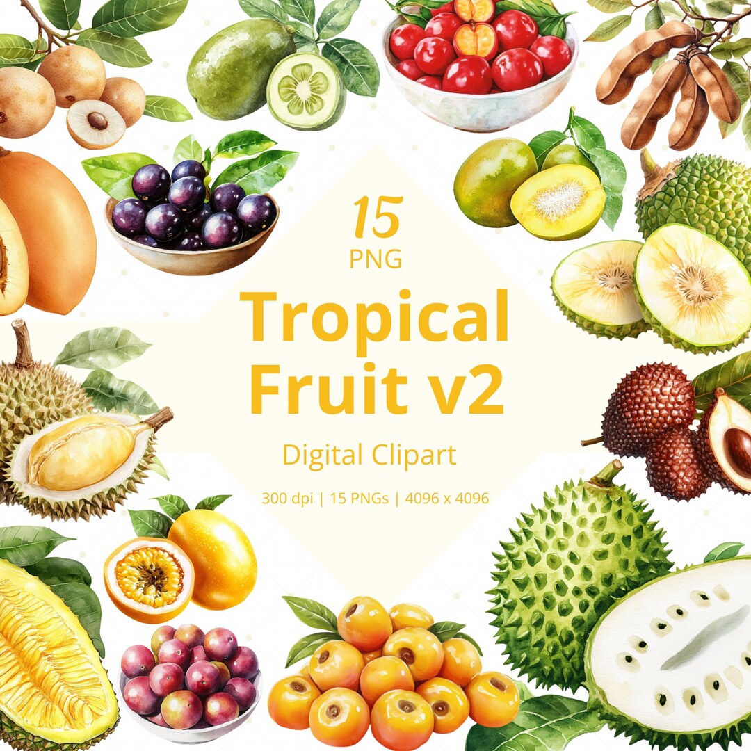 Tropical Fruit Clipart Bundle Exotic Printable Food Art PNG Summer Clip ...