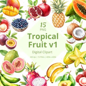 Exotic Fruit Watercolor Clipart Bundle Summer Clip Art PNG Tropical Art with Mango Pineapple Coconut Banana Printable Digital Download