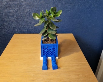 Novelty Indoor Plant Pot: 3D printed crate with Smiley Face and Movable Legs