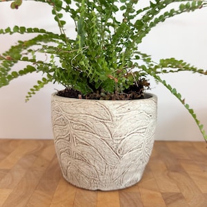 Jardinière rustique à feuillage blanc mat | Poterie faite main