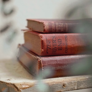 Bundle Of 3 Vintage Antique Red Shabby Books By Color