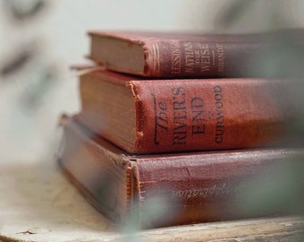 Vintage Books In Different Shades Of Red And Brown In Bookcase Stock Photo - Alamy - Foto 2