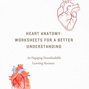 May include: Two illustrations of a human heart. The top image is a line drawing of a heart in red. The bottom image is a watercolor painting of a heart in red and blue.