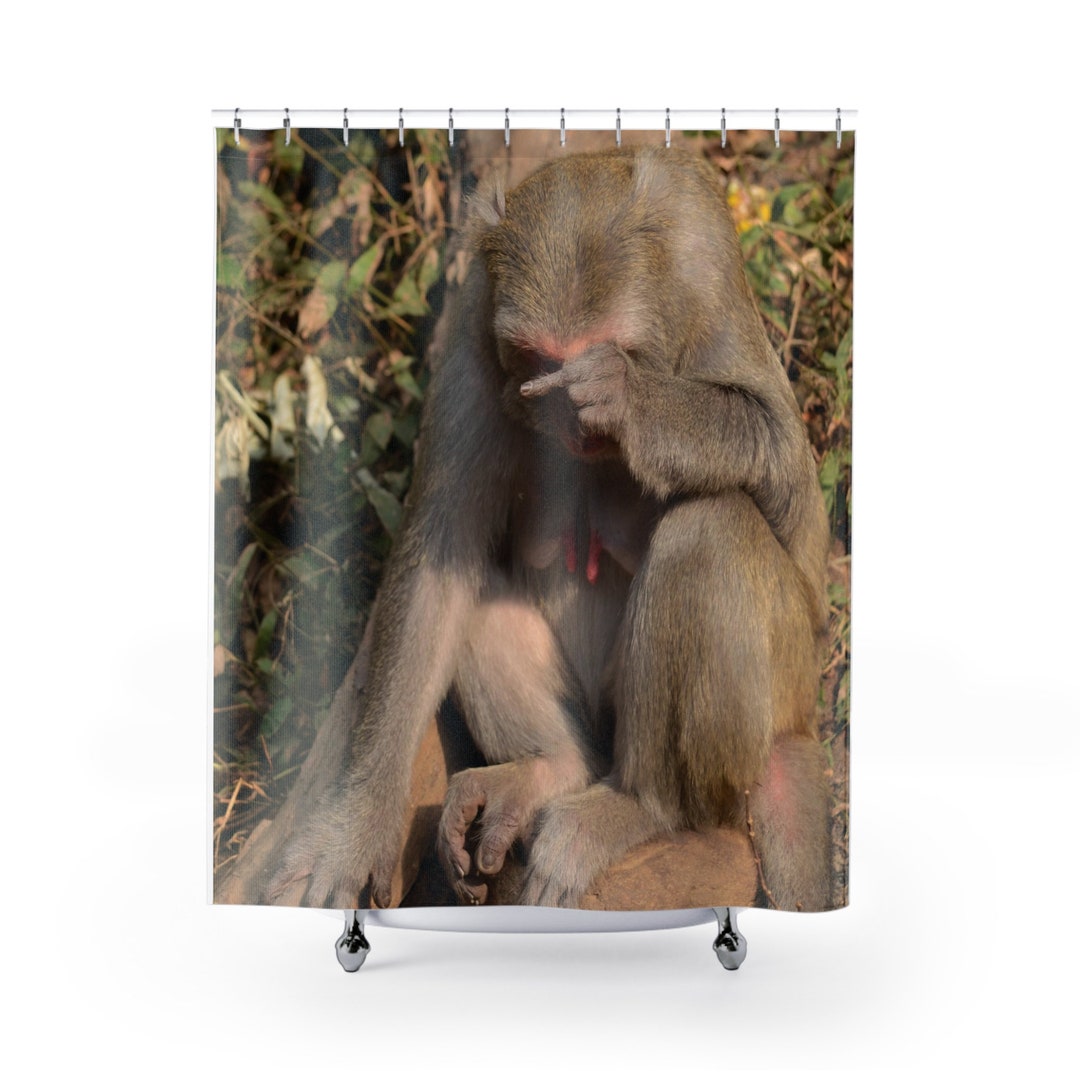 Cheeky Monkey Shower Curtain Etsy