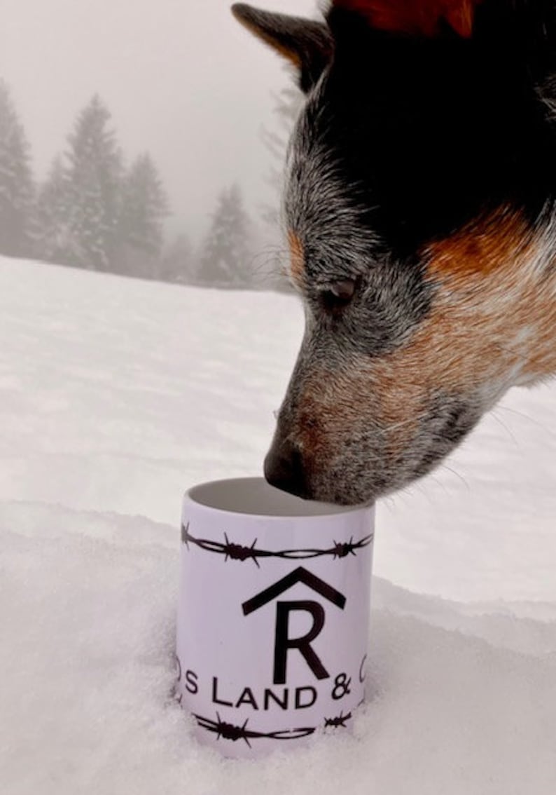 Puede incluir: Una taza de cer&aacute;mica blanca con un dise&ntilde;o de alambre de p&uacute;as negro y el texto "R Land & Co." La taza tiene una silueta negra de una casa con una "R" en su interior. Un perro blue heeler est&aacute; olfateando la taza.