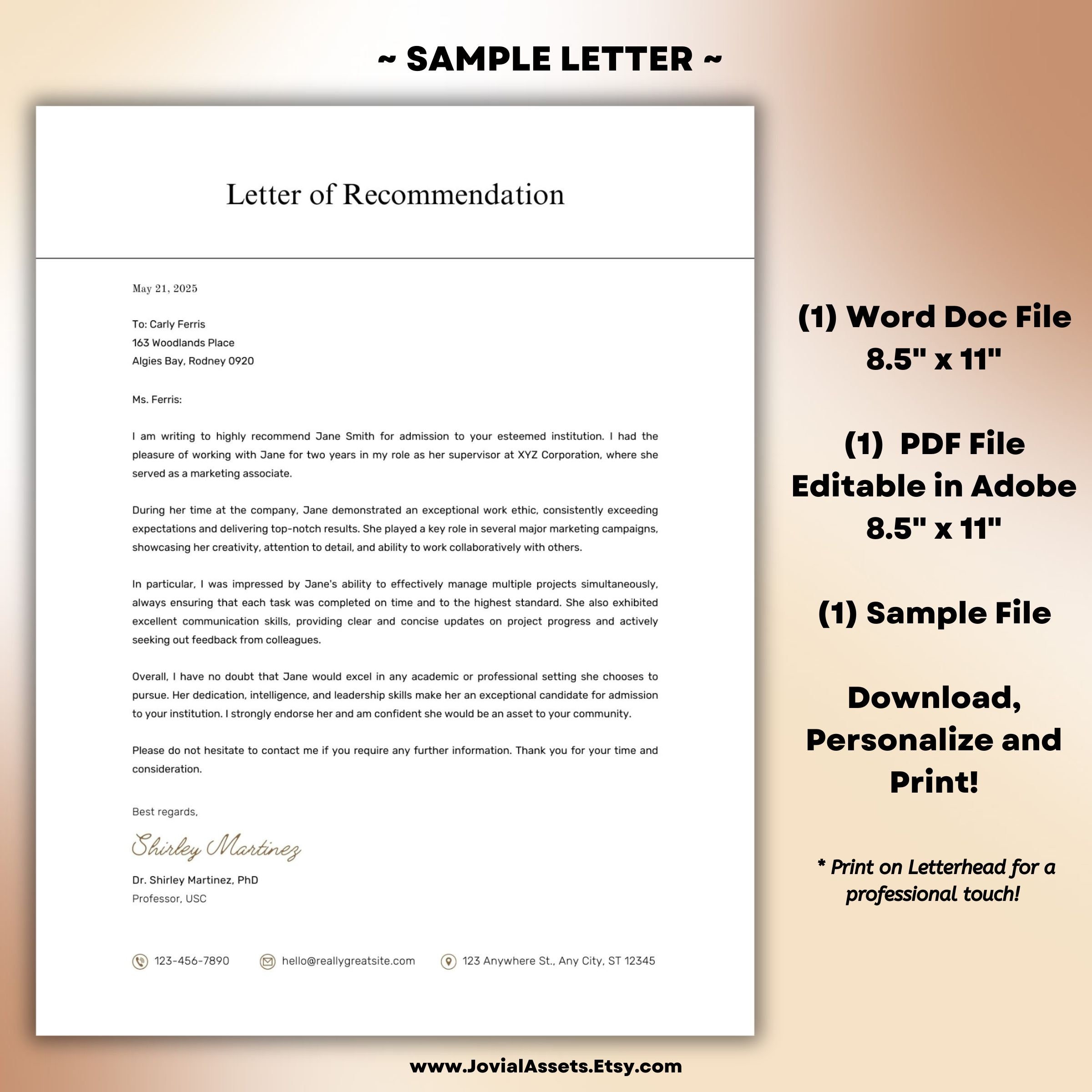 Professional Letter of Recommendation Template Customizable Letter of ...