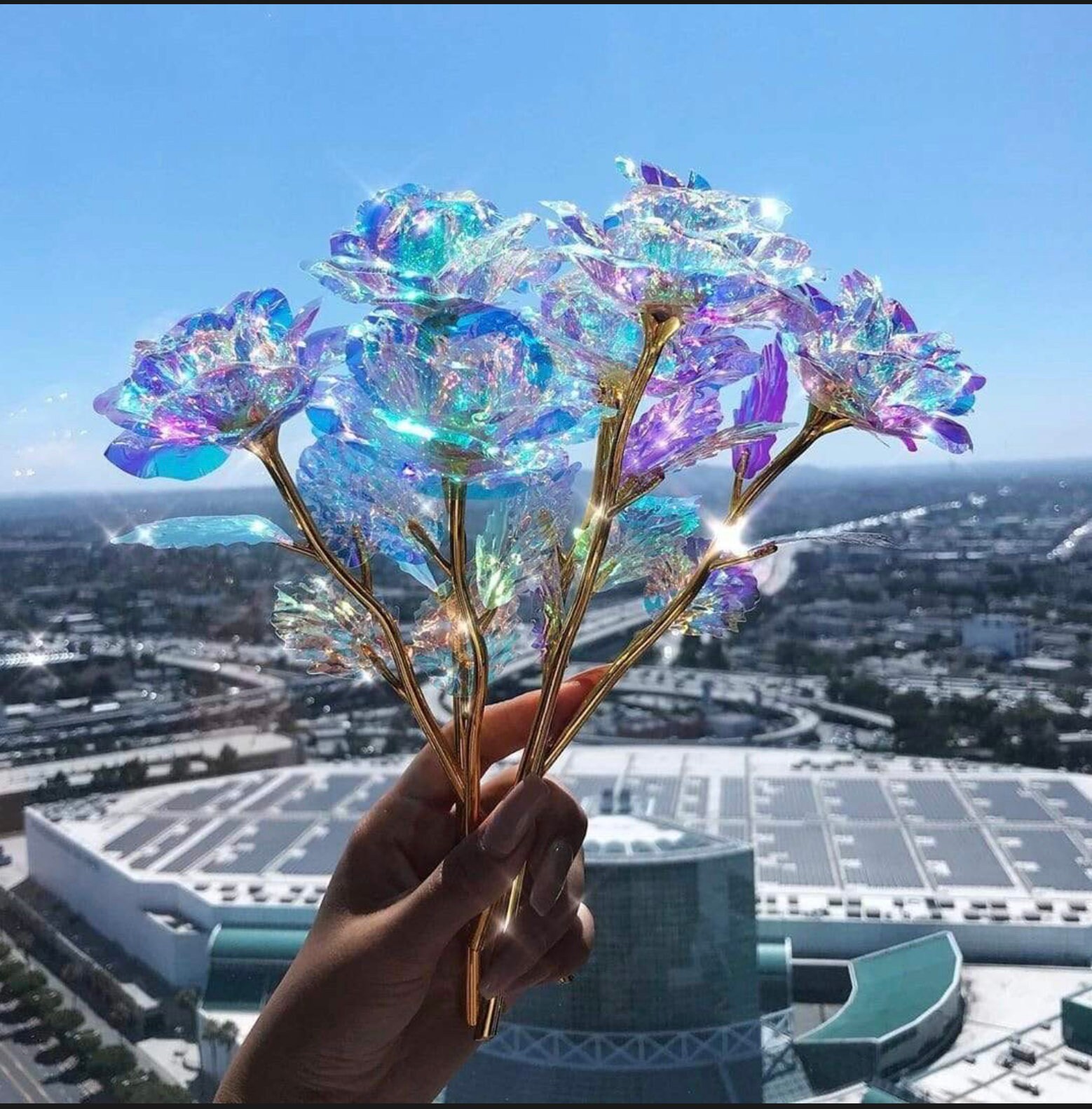 Galaxy rose sale light
