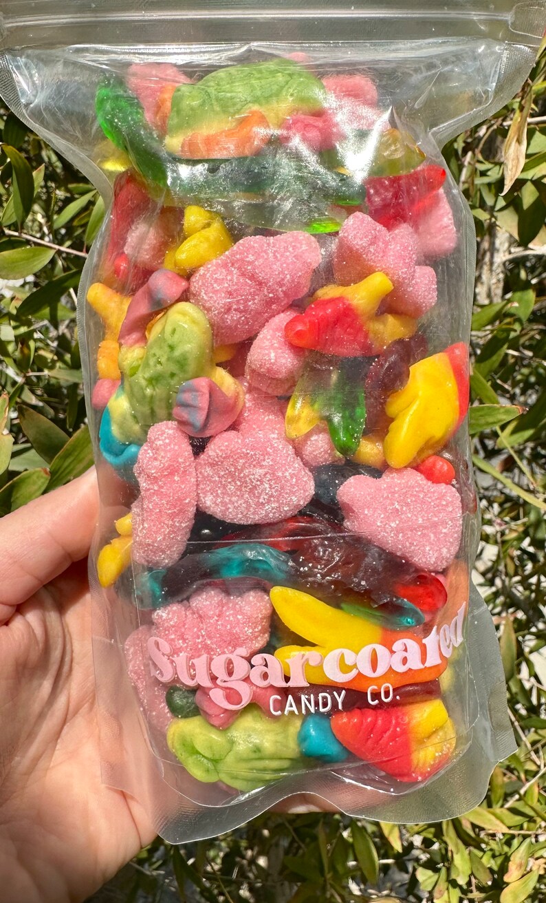 Animal Gummy Candy Mix Fun Gummy Candy Mix Snakes and Dinosaurs Gummy