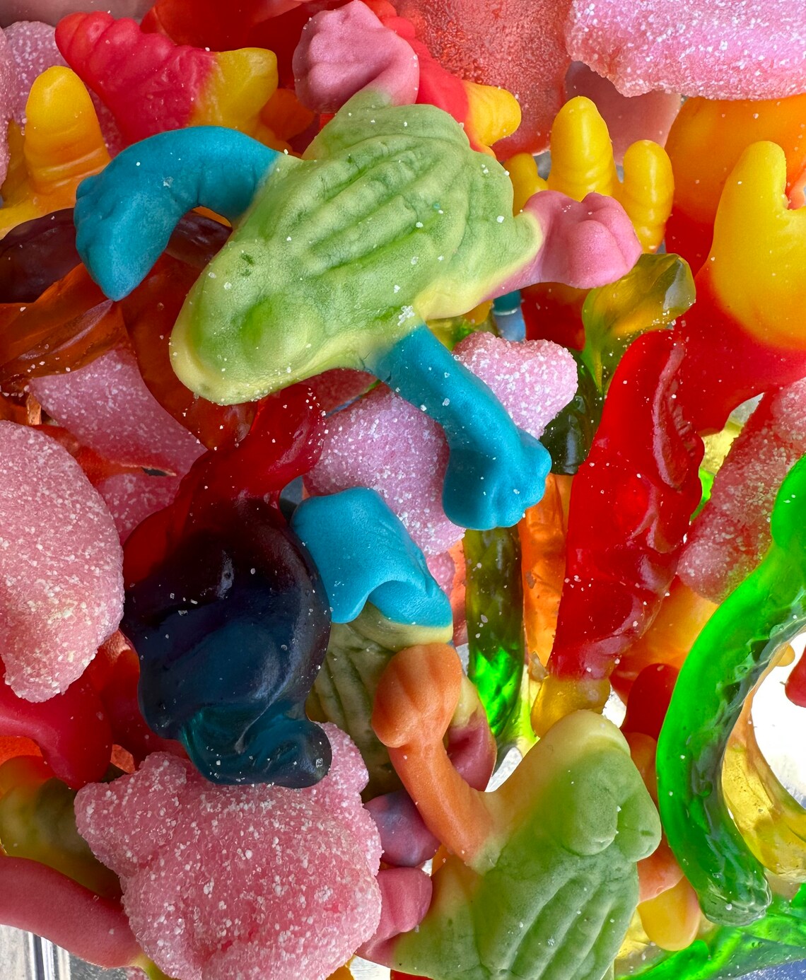 Animal Gummy Candy Mix Fun Gummy Candy Mix Snakes and Dinosaurs Gummy
