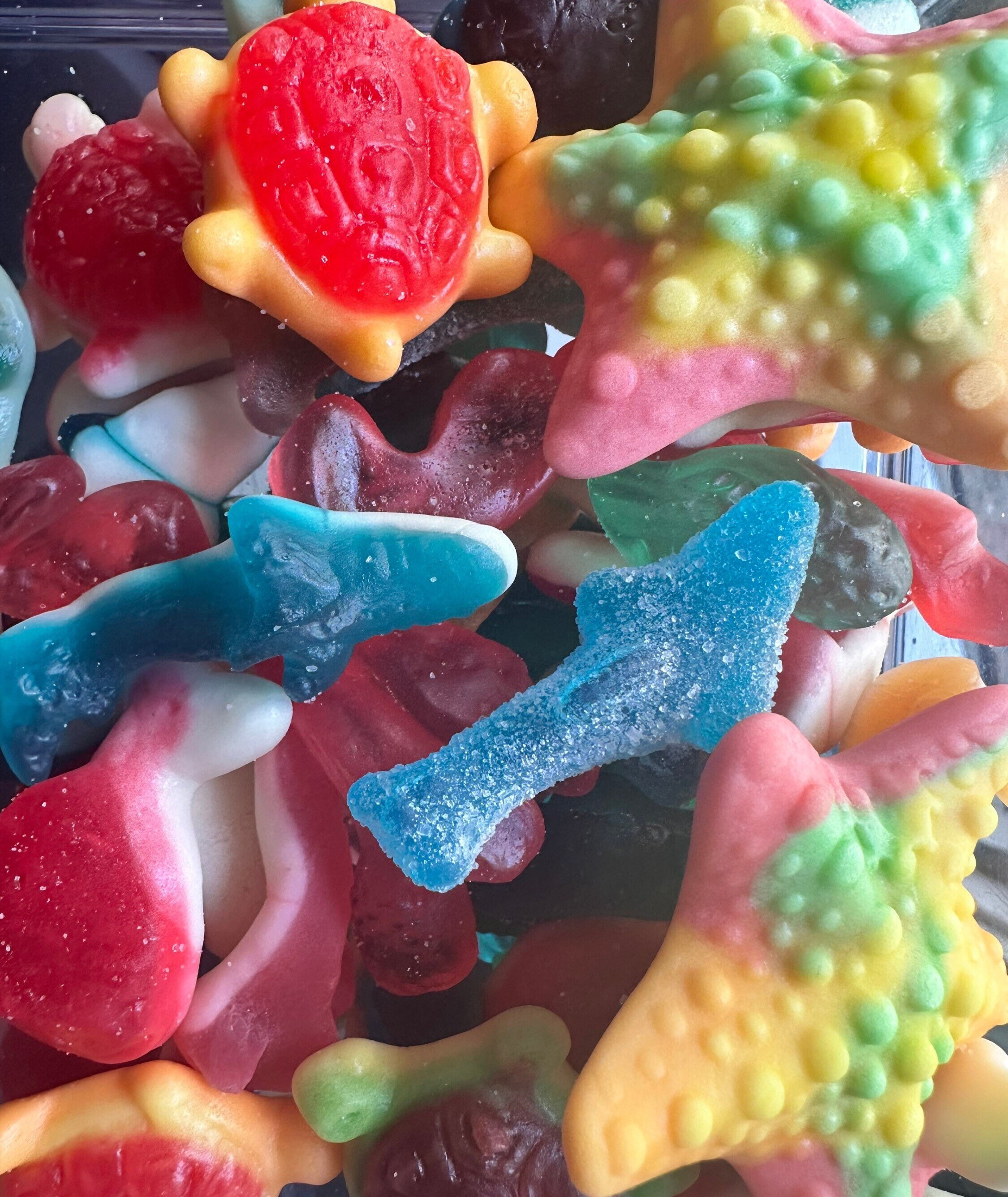 Under the Sea Gummy Candy Mix Fun Tiktok Gummy Candy Mix Etsy