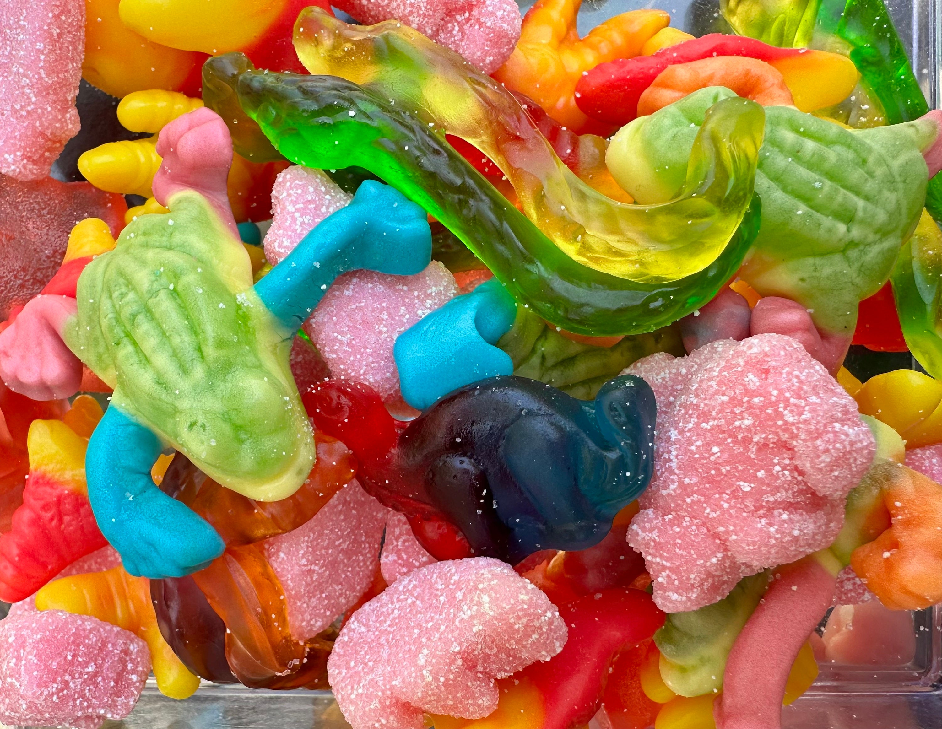 Animal Gummy Candy Mix Fun Gummy Candy Mix Snakes and Dinosaurs Gummy