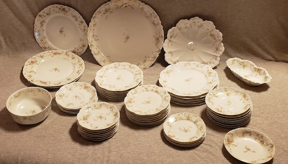 Haviland France Limoges Floral Dinnerware Set; Autumn/fall Colors