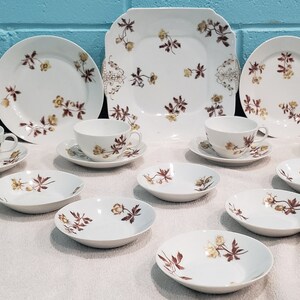 1882-1891 CH Field Haviland Limoges Dinnerware (salad, Desert