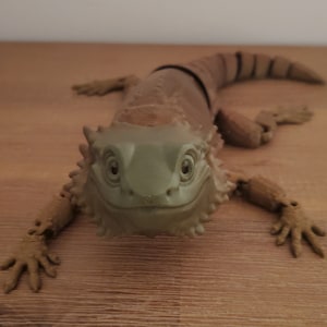 May include: A 3D printed model of a brown and green bearded dragon lizard with articulated limbs. The lizard has a friendly expression and is posed with its head tilted up.
