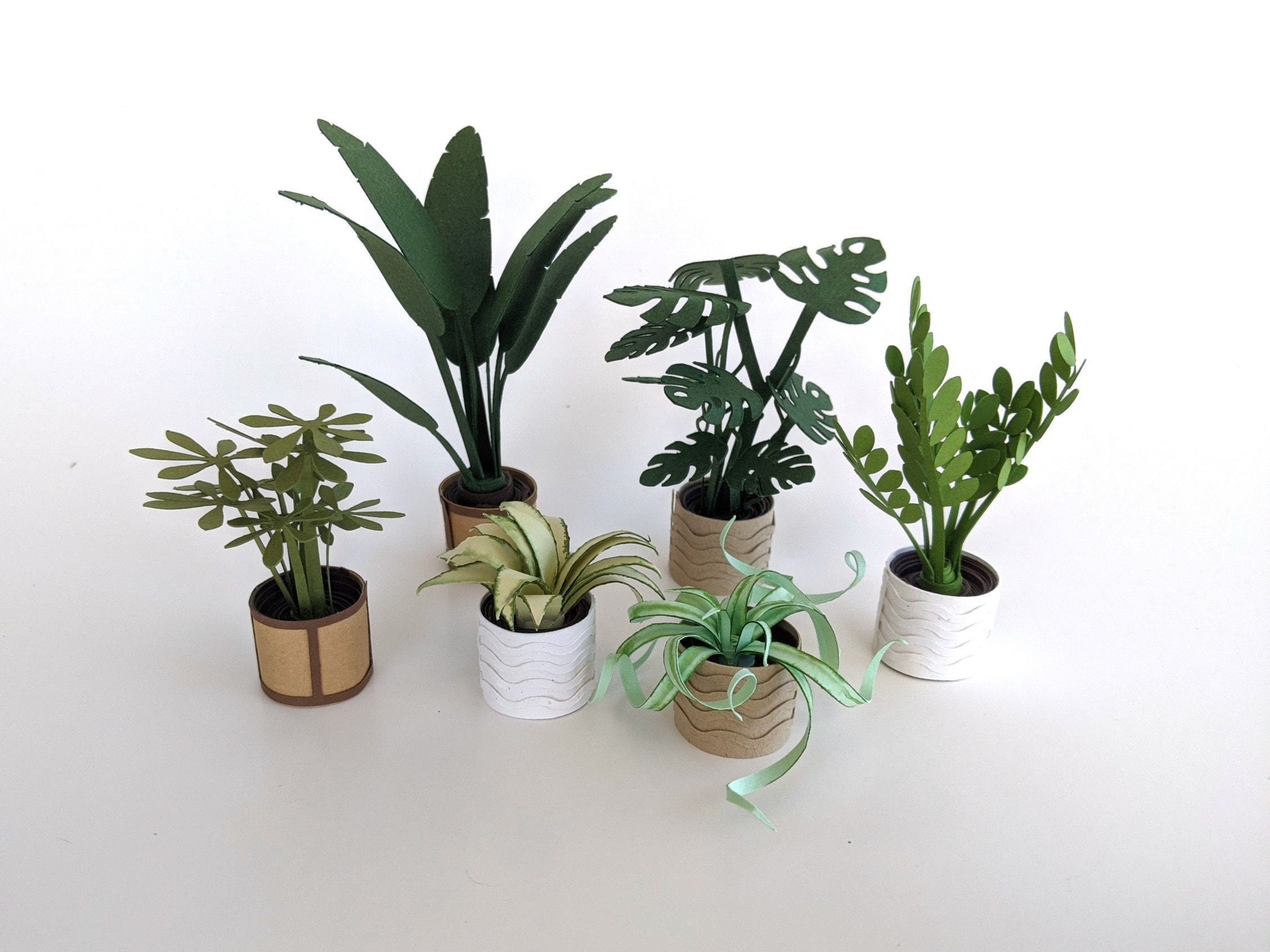 3D Mini Paper Plant Kit Easy Precut Paper Craft Activity Etsy