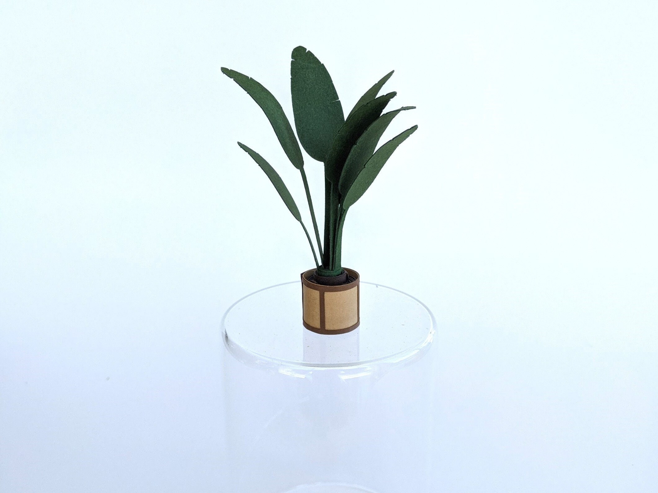 3D Mini Paper Plant Kit Easy Precut Paper Craft Activity Etsy